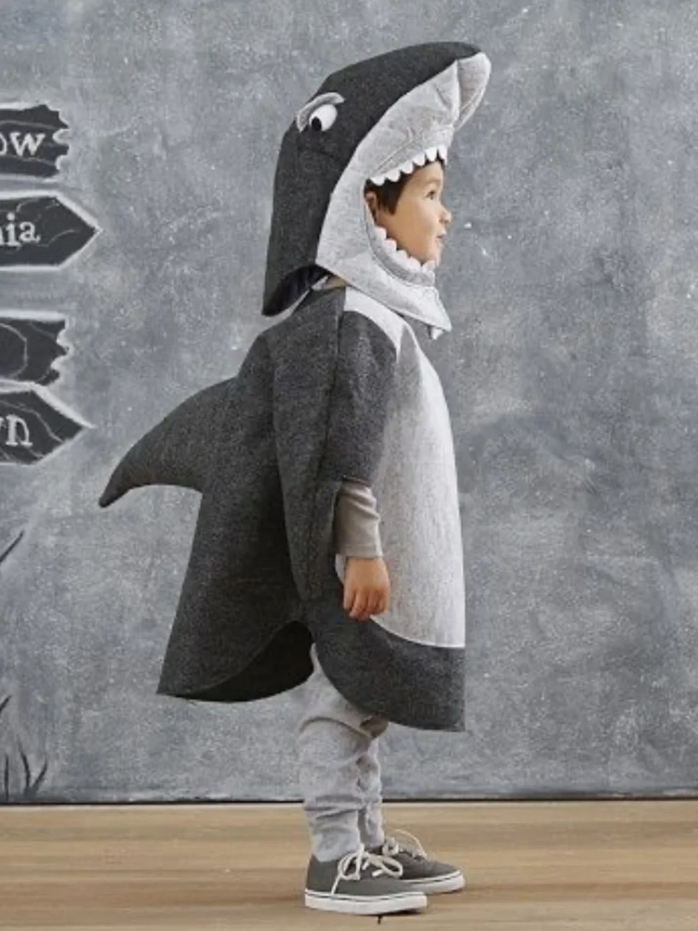 Pottery Barn Kids Shark Costume & Treat bag